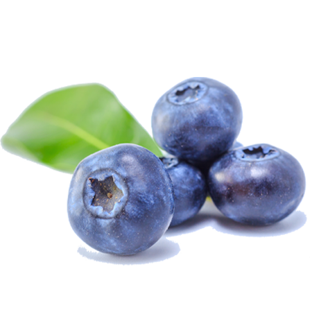 Blueberry Extract