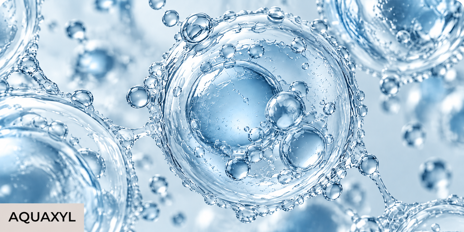 AQUAXYL