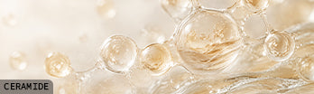 CERAMIDES