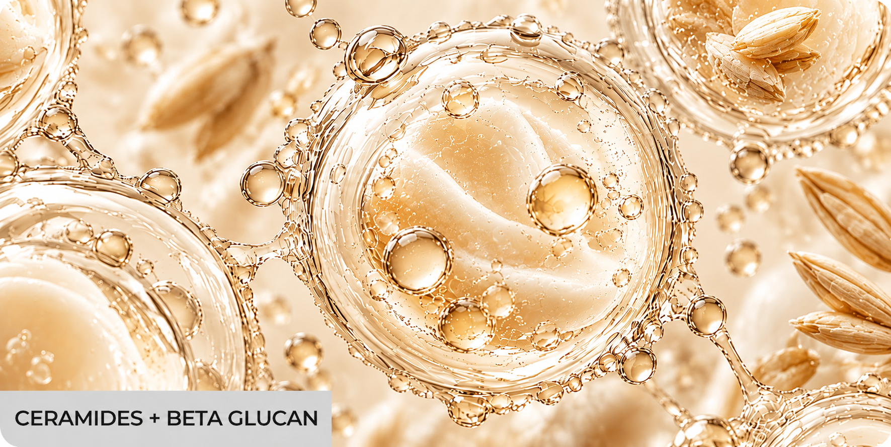 Ceramides + Beta Glucan