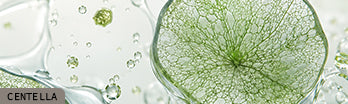 CENTELLA
